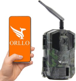 Kamera leśna Orllo Huntercam 3 GSM Fotopułapka