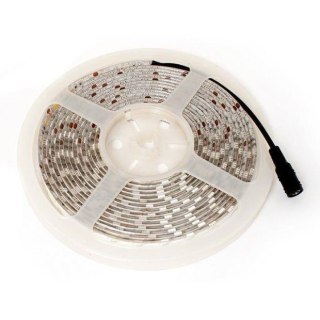 Taśma LED-5050 Abilite b.ciepła 300LED 12V IP65 5m/10mm silikon