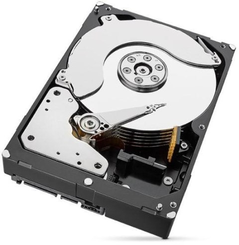 Dysk HDD Seagate SkyHawk ST2000VX017 2TB