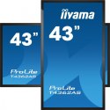 IIYAMA Monitor wielkoformatowy 43 cale T4362AS-B1 20pkt., 24/7, IPS, 500cd, ANDROID 8.0