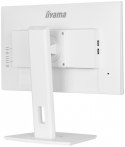 IIYAMA Monitor 27 cali ProLite XUB2792HSU-W6 IPS,HDMI,DP,100Hz,SLIM,4xUSB3.2,PIVOT, HAS(150mm),2x2W