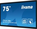 IIYAMA Monitor wielkoformatowy 75 cali TE7514MIS-B1AG INFRARED,50pkt,VA,4K,7H,WiFi,MIC,USB-c