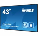 IIYAMA Monitor 42.5 cala ProLite LH4375UHS-B1AG, 24/7,IPS,ANDROID.11,4K,500cd/m2,WiFi,3xHDMI,DP,Daisy/Chain,2xUSB,2x10W,RJ45,iiSignage2