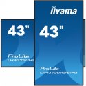 IIYAMA Monitor 42.5 cala ProLite LH4375UHS-B1AG, 24/7,IPS,ANDROID.11,4K,500cd/m2,WiFi,3xHDMI,DP,Daisy/Chain,2xUSB,2x10W,RJ45,iiSignage2