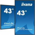 IIYAMA Monitor 42.5 cala ProLite LH4375UHS-B1AG, 24/7,IPS,ANDROID.11,4K,500cd/m2,WiFi,3xHDMI,DP,Daisy/Chain,2xUSB,2x10W,RJ45,iiSignage2