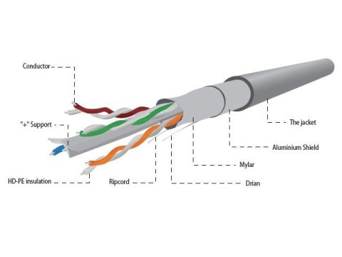 Gembird Kabel FTP KAT 6 drut 100m szary