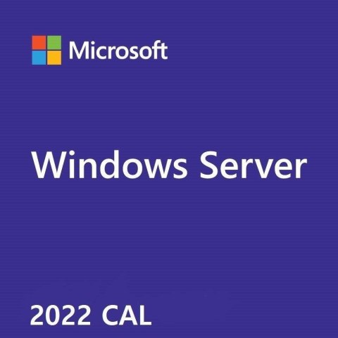 System operacyjny HEWLETT PACKARD ENTERPRISE Windows Server 2022 CAL 5Clt Usr P46215-B21