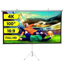 Extralink Projection Screen 100