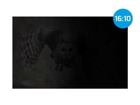 Natec Filtr prywatyzujący RODO Owl 16 cali 16:10