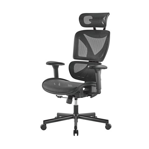 FOTEL ERGONOMICZNY OBROTOWY BIUROWY ART CH-02 Manager (05-31)