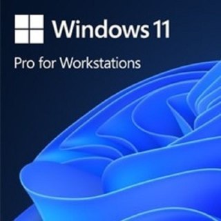 System operacyjny MICROSOFT Windows Pro 11 PL