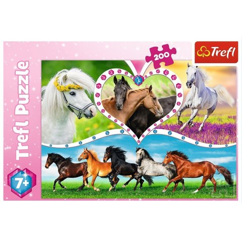 Trefl Puzzle 200 elementów - Piękne konie