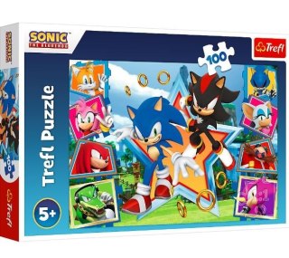 Trefl Puzzle 100 elementów Poznaj Sonica Sonic