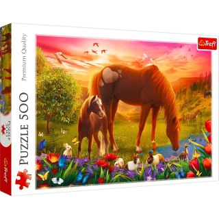 Trefl Puzzle 500 elementów Konie na łące