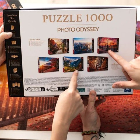 Trefl Puzzle 1000 elementów Premium Mała Wenecja Colmar Francja