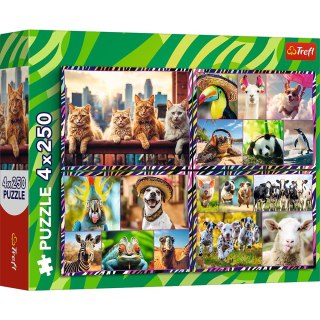 Trefl Puzzle 4x250 elementów Zabawne zwierzaki