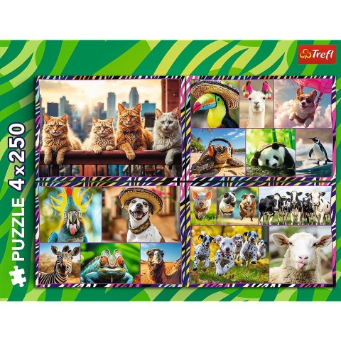 Trefl Puzzle 4x250 elementów Zabawne zwierzaki