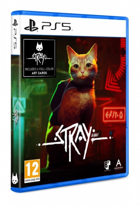 Plaion Gra PlayStation 5 Stray