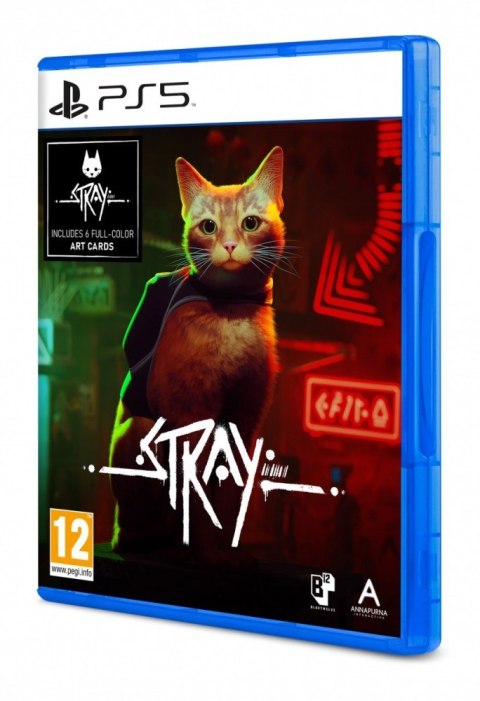 Plaion Gra PlayStation 5 Stray