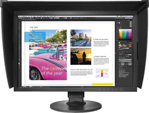 Monitor EIZO CG2420-BK (24.1" /IPS /1920 x 1200 /Czarny)