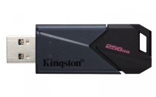 Pendrive (Pamięć USB) KINGSTON (256 GB /Czarny )