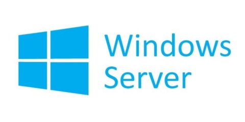 System operacyjny MICROSOFT Win Svr CAL 2022 ENG R18-06466