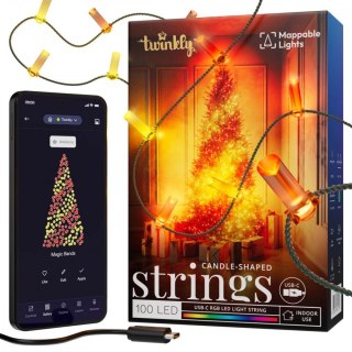 TWINKLY Inteligentne lampki dekoracyjne Strings USB-C (Candies) 100 LED RGB, świece, zielony przewód, 6 m