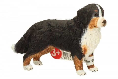 Schleich Berneńczyk, suczka