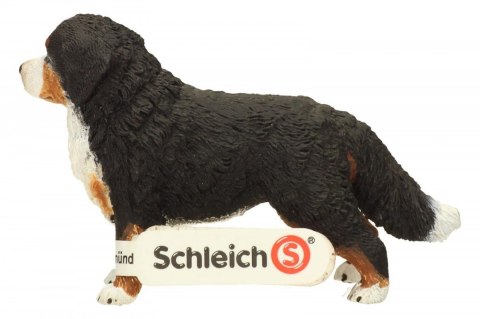 Schleich Berneńczyk, suczka