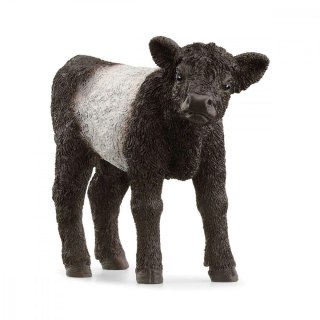 Schleich Figurka ciele rasy Galloway