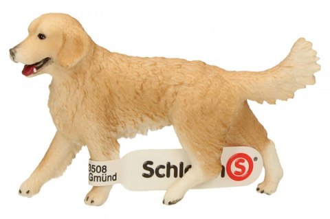 Schleich Golden retrieve r, suczka