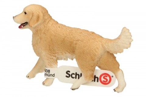 Schleich Golden retrieve r, suczka