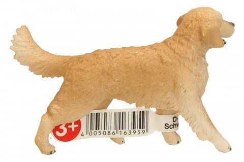 Schleich Golden retrieve r, suczka