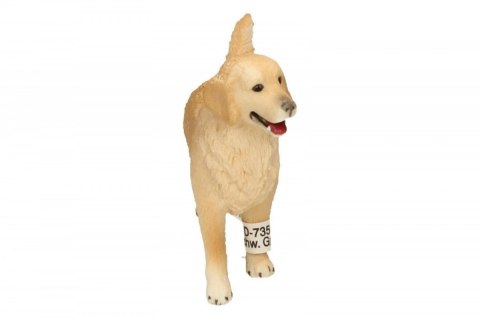 Schleich Golden retrieve r, suczka