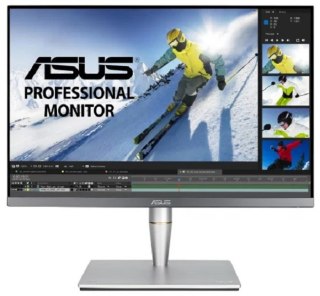 Monitor ASUS PA24AC (24.1" /IPS /60Hz /1920 x 1080 /Szary)