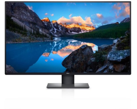 Monitor DELL 210-BFIS (42.5" /TFT IPS /60Hz /3840 x 2160 /Czarny )