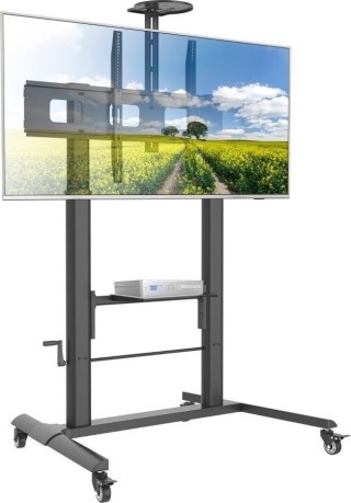 Uchwyt do TV TECHLY 364491 (nośność 120kg \52 - 110)