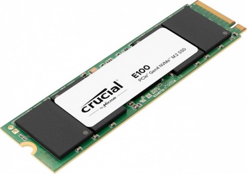 CT1000E100SSD8