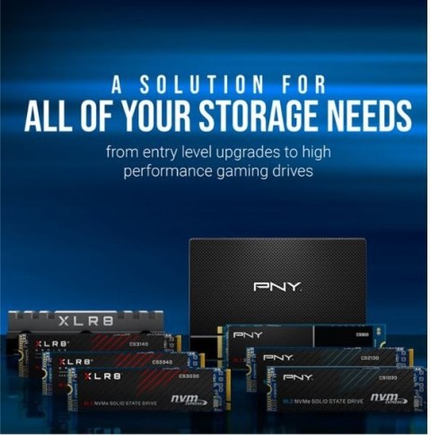 PNY Dysk SSD 1TB M.2 2280 BULK M280CS1030-1TB-SI