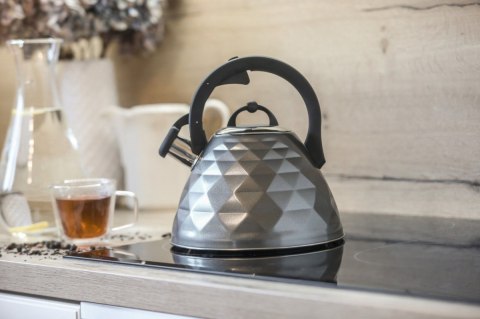 Berretti Czajnik ROSA 3L BR-7641 szary