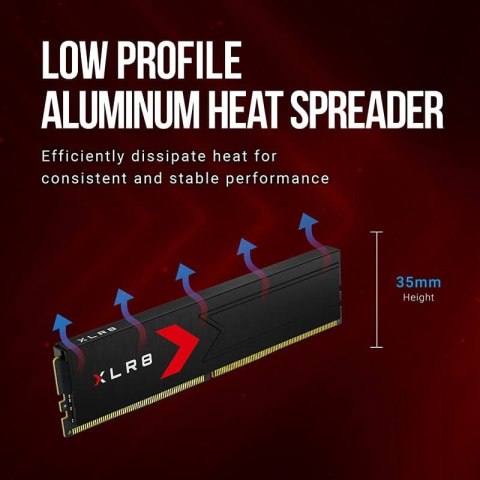 PNY Pamięć DDR5 64GB (2x32) 6000 C30