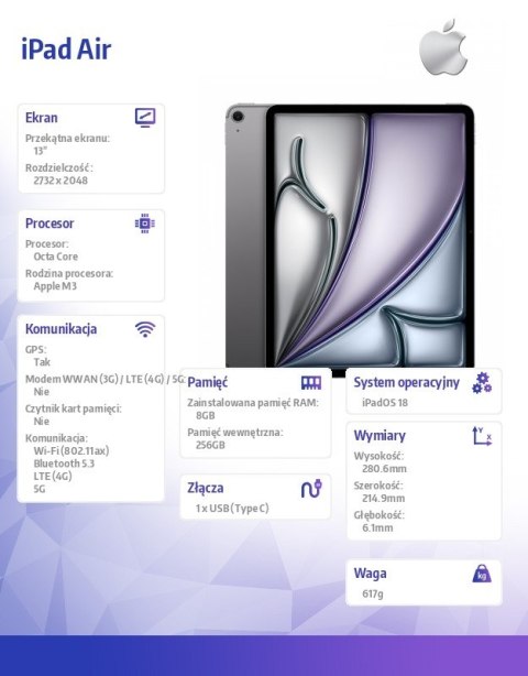 Apple IPad Air 13 cali WiFi + Cellular 256GB Szary
