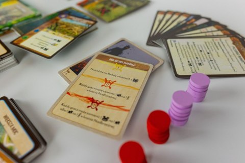 GRA SPIRIT ISLAND podstawa PORTAL GAMES