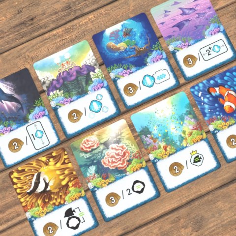 GRA SHALLOW SEA: WIELKA RAFA KORALOWA - podstawa - OGRY GAMES