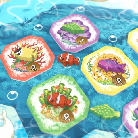 GRA SHALLOW SEA: WIELKA RAFA KORALOWA - podstawa - OGRY GAMES
