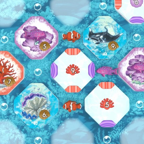 GRA SHALLOW SEA: WIELKA RAFA KORALOWA - podstawa - OGRY GAMES