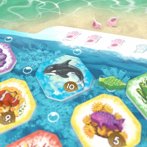 GRA SHALLOW SEA: WIELKA RAFA KORALOWA - podstawa - OGRY GAMES