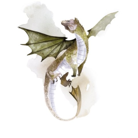 GRA PLANSZOWA NA SKRZYDŁACH SMOKÓW- podstawa