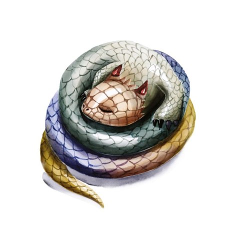 GRA PLANSZOWA NA SKRZYDŁACH SMOKÓW- podstawa