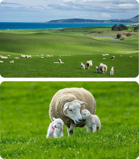 Kamera IP Ezviz HB90X Dual 4G Wi-Fi Kit 4MP+4MP z panelem solarnym 8W